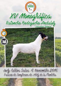 XV Monografica Noviembre 2016